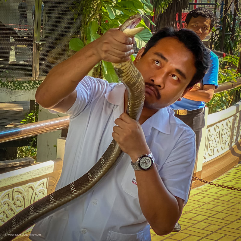 Bangkok, Thailand, a snake handler © www.travelblogonline.com