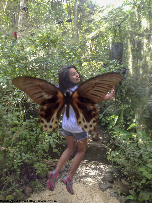 Butterfly Sanctuary, Bilar, Bohol Philippines © Patrik Lord Travel Blog