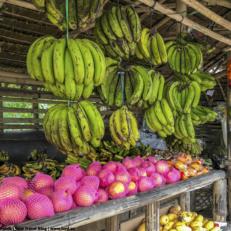 Fruit vendor, Bananas, Sibulan, Dumaguete, Philippines © Patrik Lord Travel Blog