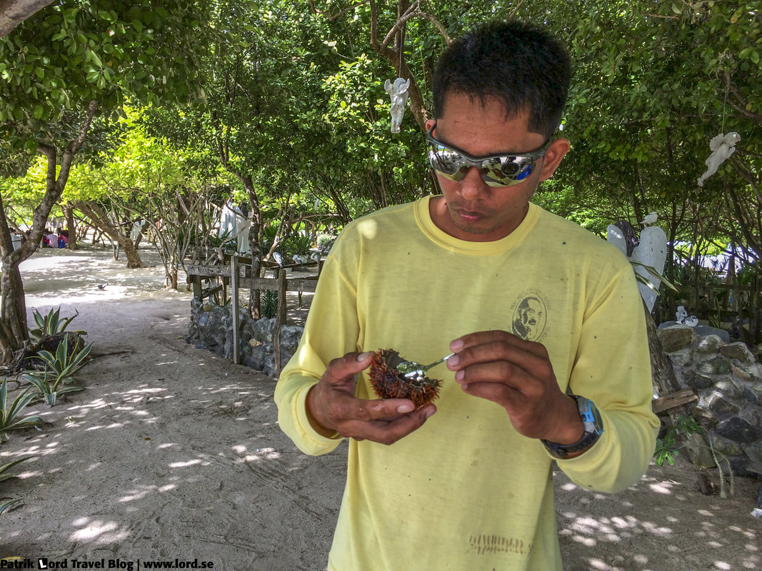 Guy prepare Sea urchins Philippines © Patrik Lord Travel Blog