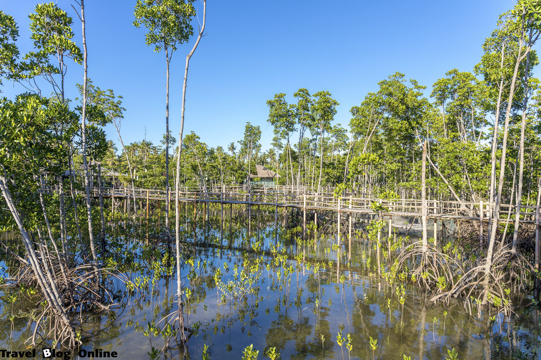 Oboob Mangrove Garden, Bantayan Island, Philippines, © travelblogonline.com