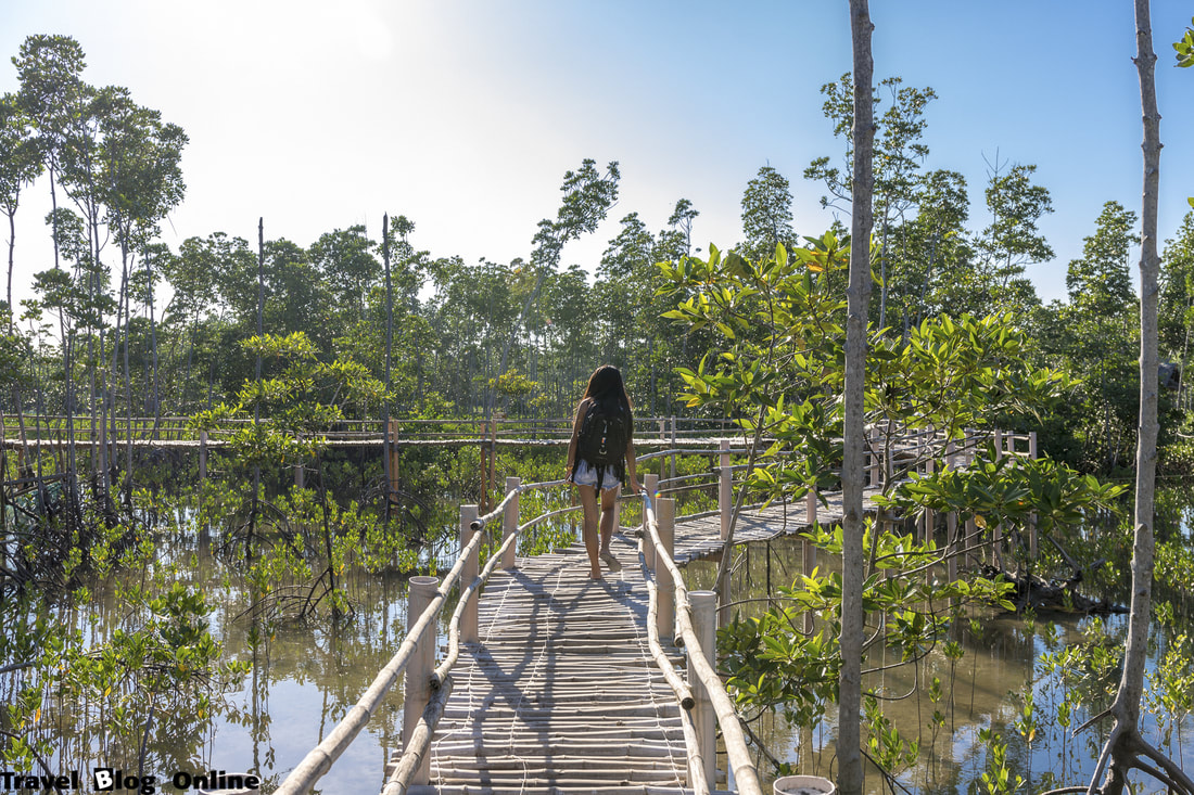Oboob Mangrove Garden, Walkaway, Bantayan Island, Philippines, © travelblogonline.com
